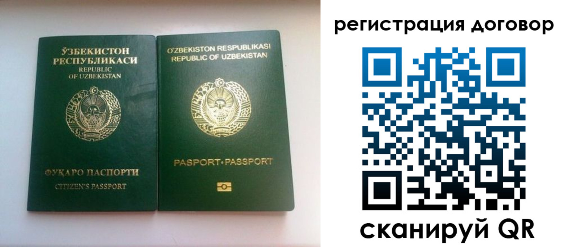 прописка в Ардоне