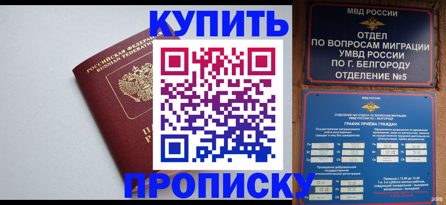 прописка регистрация в Ардоне